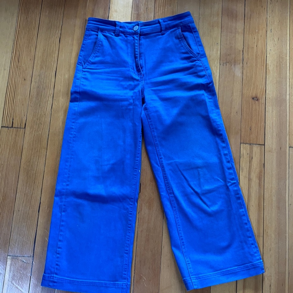 Everlane Wide-Legged Blue Pants
